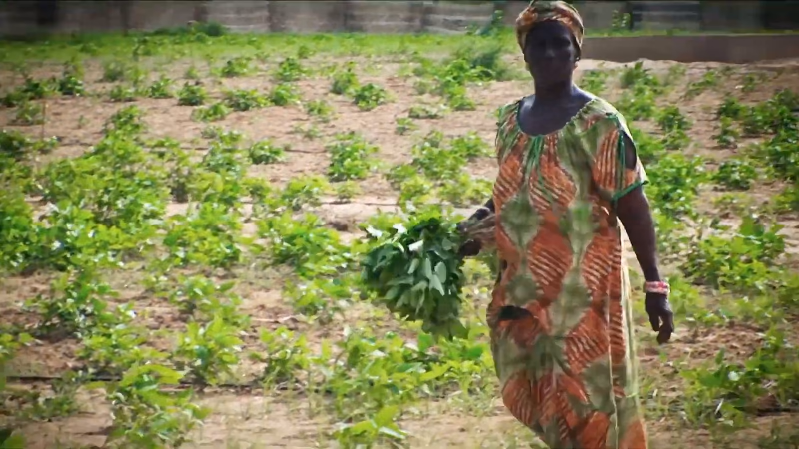 Kobieta w kolorowej sukni na polu w Senegalu